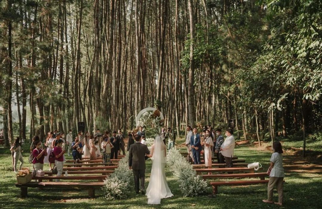 Wedding venue hutan pinus Cibodas